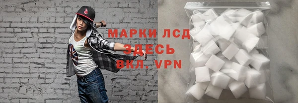 индика Баксан