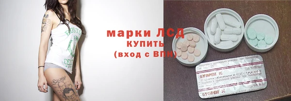 индика Баксан