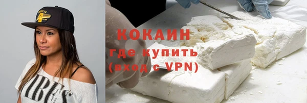 индика Баксан