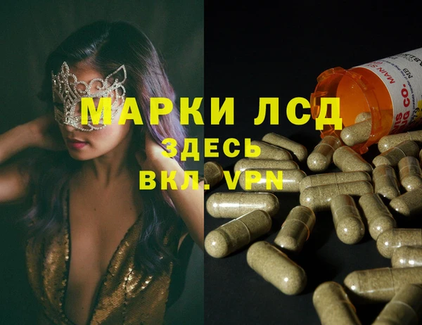 индика Баксан