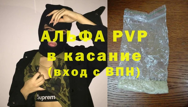 индика Баксан