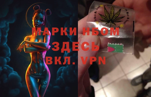 индика Баксан